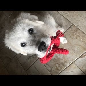 Meet your Posher, Erin